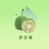 罗汉果