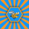 Crazy Bee Color Change