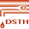 DSTH bridging