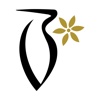 Boutiqaat Online Shopping