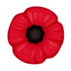 Poppyfy