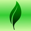 本物のアメリカ英語から学ぶ!- GreenLeaf
