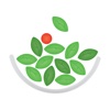 Simply Salad