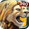 4x4 Safari 2 for iPad Pro