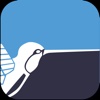 HummingByrd
