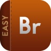 Easy To Use Adobe Bridge Edition