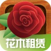 花木租赁