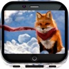 Fox Art Gallery HD – Artwork Wallpapers , Themes & Album Backgrounds