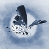 Butterfly Sword - Audio Book