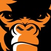 Gorilla Safety and Fleet Management