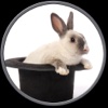 rabbits pictures to win for kids - no ads free personal ads pictures 