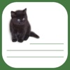 Kitty List - Remember Everything