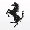 Ferrari Road DE