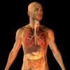 Full Atlas of Human Anatomy - The Best Human Body Atlas . full body anatomy picture 
