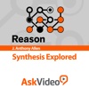 Course For Reason - Synthesis Explored