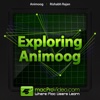 Course For Animoog synthesis