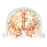 Isaiah cerebral vascular Atlas