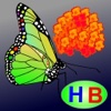 The story of Flower and Butterfly (Untold toddler story from Hien Bui) story