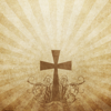 no app image