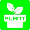 plant plant 