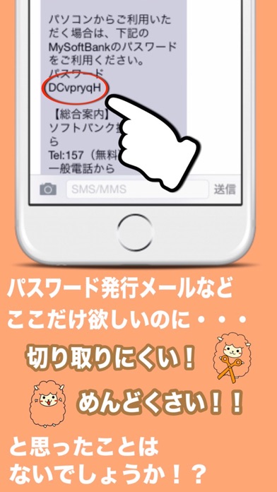 ss1