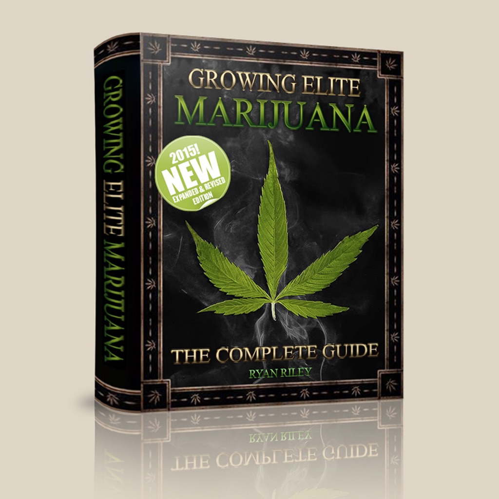cannabis grow bible best hash recipe