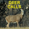 Deer Calls & Sounds for Deer Hunting Sports Deer Call