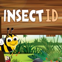 Insect Id