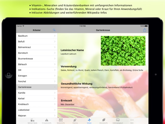 iPad Screenshot 5