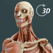 Visual Anatomy 3D | Human
