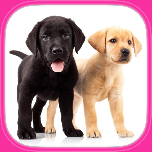 Puzzle Con Cani E Cuccioli Carinissimi Gioco Di Logica Per I