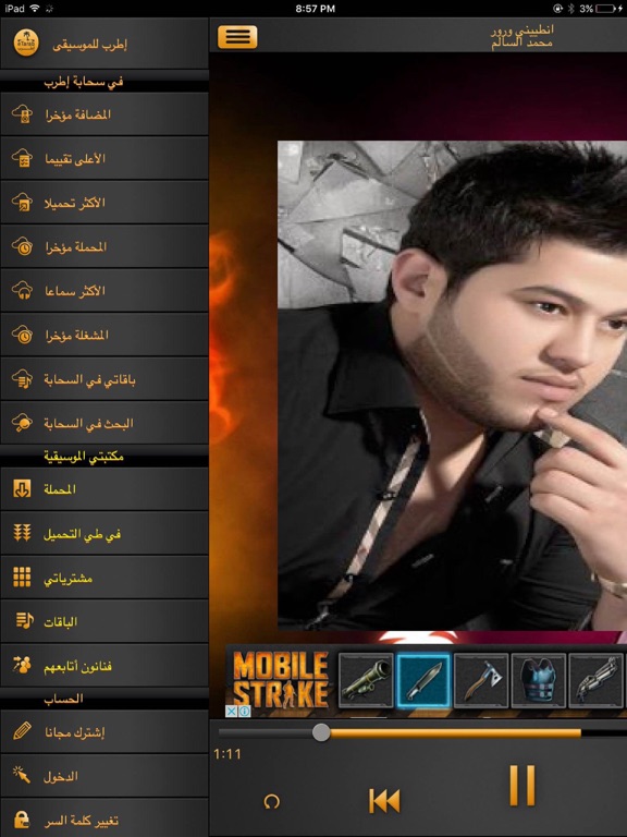 iPad Screenshot 2