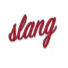 slang 1.0 new yorkers slang 