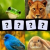 Animals & Animals Sounds (Free) - Wonder Zoo animals and their sounds 