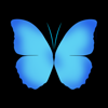 no app image