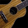 Easy Ukulele - Ukulele Music Lessons Exercises viusal basic 6