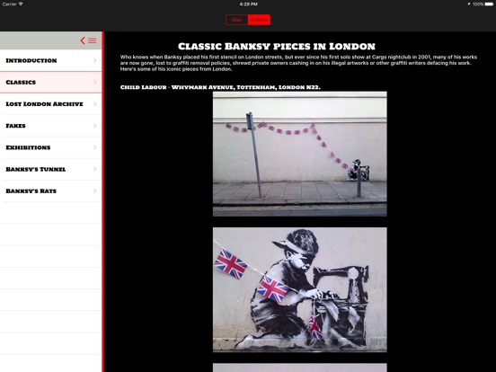 iPad Screenshot 3