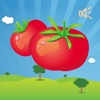 Vegetable Baby - Kids First Vegetable Learning App home vegetable gardens 