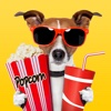 Trailer BOX! 2000 Top Movie Trailers for IMDB fans top 100 exotic pets 