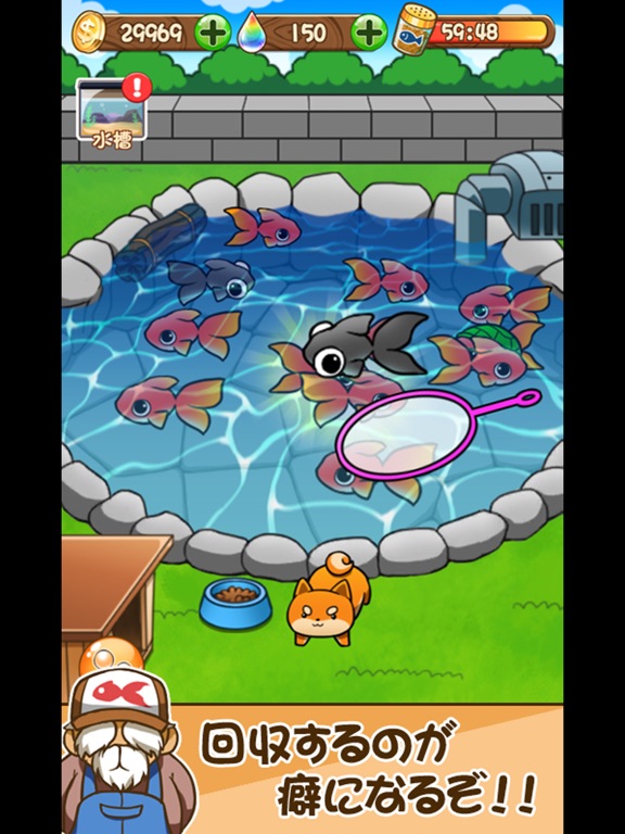 金魚コレクション - 金魚すくい無料ゲームのおすすめ画像1
