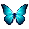 Acar Bilican Kemaloglu - Butterfly Stickers For iMessage アートワーク