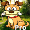 Armando Nova - Axel Dog Pro : Take care of the pet and cut artwork