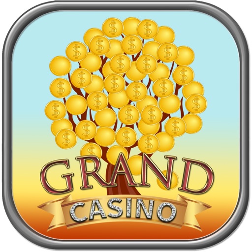 Casino xtreme