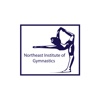 Northeast Gymnastics northeast china geography 