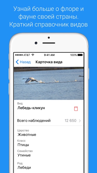 iPhone Screenshot 3