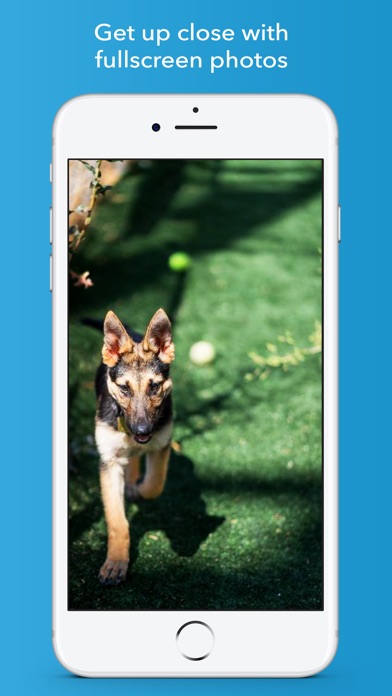 iPhone Screenshot 5