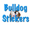 Bulldog Faces french bulldog puppies 