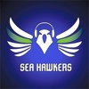 Sea Hawkers: Show for Seattle Seahawks Fans seattle seahawks news 