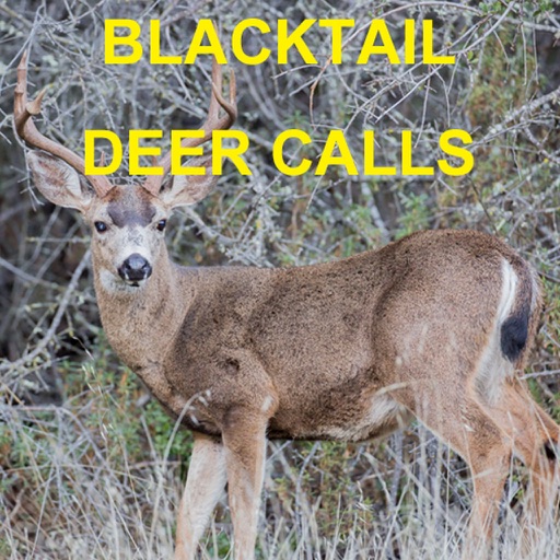 deer sounds app