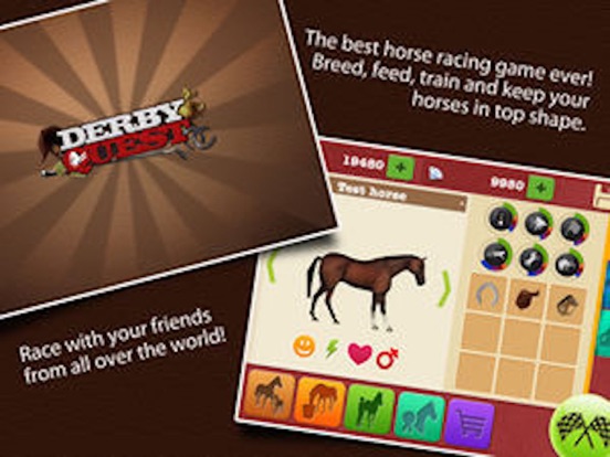 iPad Screenshot 5